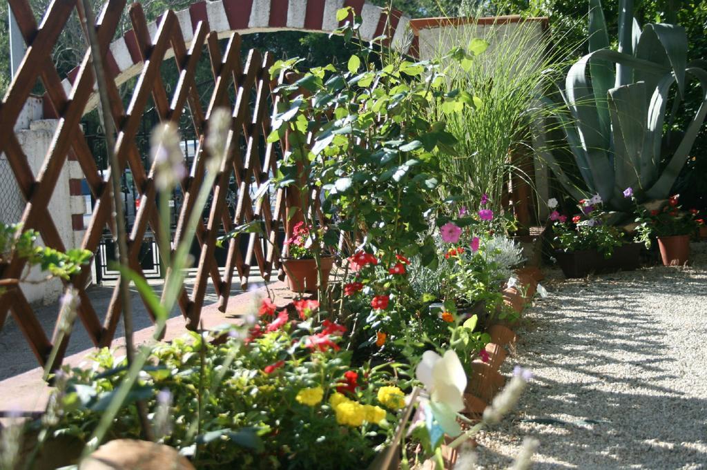 Apartments Nea Rovinj Exterior foto